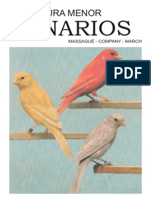 Pin de Taha en oiseaux  Jaulas, Trampa para pajaros, Como hacer jaulas