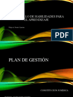 Proyecto Final Plan de Gestión Felipe - Puente