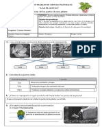 Guía 1 Las Plantas