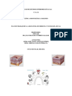 Plan de Trabajo Medicina y Patología Bucal Molinito Gpo. 1307 (2020-2021)
