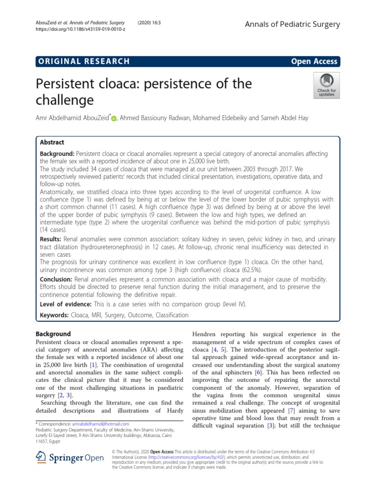 Persistent Cloaca Persistence of The Challenge | PDF | Vagina | Urinary ...