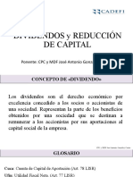 1658411913619_Dividendos y Reembolso de Capital (1)