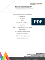 proyecto de investigacion de un antioxodante