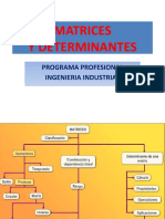 Matrices y determinantes: conceptos básicos