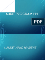 Audit Program PPI
