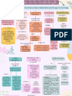 Mapa Conceptual-Origen de La Sociología