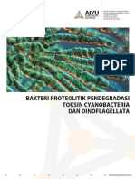 Bakteri Proteolitik Pendegradasi Toksin Blue Green Algae