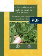 Plantas.Guia.Ilustrada.Sobre.El.Estado.De.Salud.De.Los.Arboles.PDF.by.chuska.