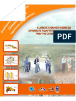 UNDP RLAC DevImplemClimateChange