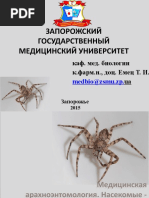 Медицинская арахноэнтомология