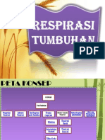 Respirasi Tumbuhan