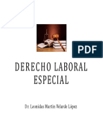 Derecho Laboral Especial - Diapositivas