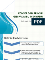 Konsep Dan Prinsip Gizi Pada Ibu Menyusui