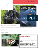 Feeding Behavior: Types of Animal Behavior