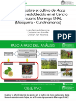 Analisis de La Feijoa