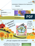 PRACTICO Nº 1 - TEORIAS CURRICULARES