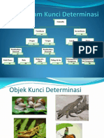 Kunci Determinasi