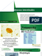 Protozoos Intestinales