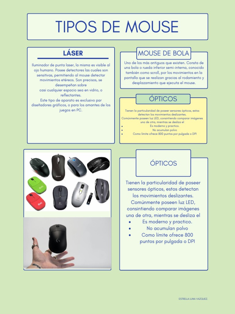 Tipos de Mouse | PDF
