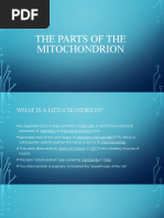 The Parts of The Mitochondrion