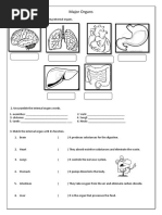 Major organs worksheet