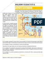 Clase 12 Metabolismo Oxidativo y Proteinas