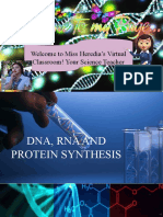 Dna Rna and Protein Synthesis