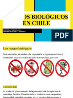 Riesgos Biológicos en Chile
