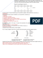 Bacteria STQ3