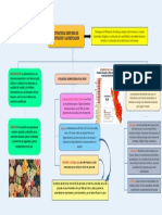 Mapa de Las Estrategia de Nutricion