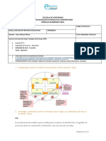 Actividad de La Semana 1 Gpe