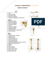 Revisão - Osteologia 