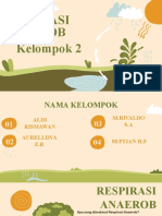 Photosynthesis Process For Education 1