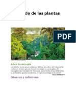 ByG 1ESO El Mundo de Las Plantas