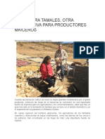 Hojas para Tamales en Jalisco