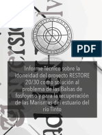 Informe 280722 Comité de Expertos Fosofyesos-Agosto2022-1