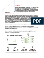 SDLC Modellerine Genel Bakış 2