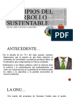 Principios del desarrollo sustentable