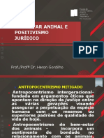 Aula - 5 - Bem Estar Animal e - Positivismo - Juridico