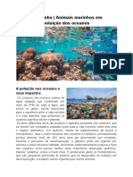 Biologia marinha _ Animais marinhos em extinção e a poluição dos oceanos (1)