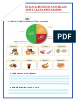 Ficha Alimentos Nat, Procesados y Ultrapr