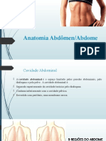 Anatomia Abdome 1628021901