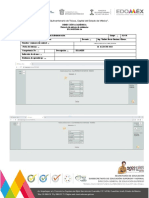 FO-205P11000-14 Formato de Entrega de Evidencias