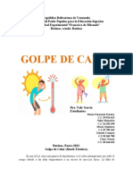 Tema 4. Golpe de Calor