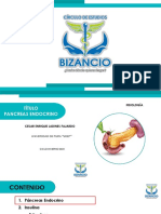 Clase 4 Pancreas Endocrino