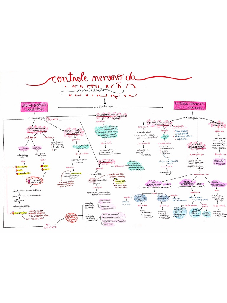 MAPA CONCEITUAL CONTROLE VENTILAÇÃO | PDF
