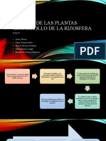 Impacto de Las Plantas