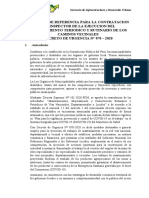 PAQ 14. TDR  D.U N° 070-2020 - INSPECTOR