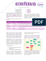 Moléculas orgánicas pequeñas y sus funciones biológicas