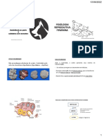 P1 - Revisão de Conteúdo - Assistência Ao Parto e Cuidados Com Neonatos